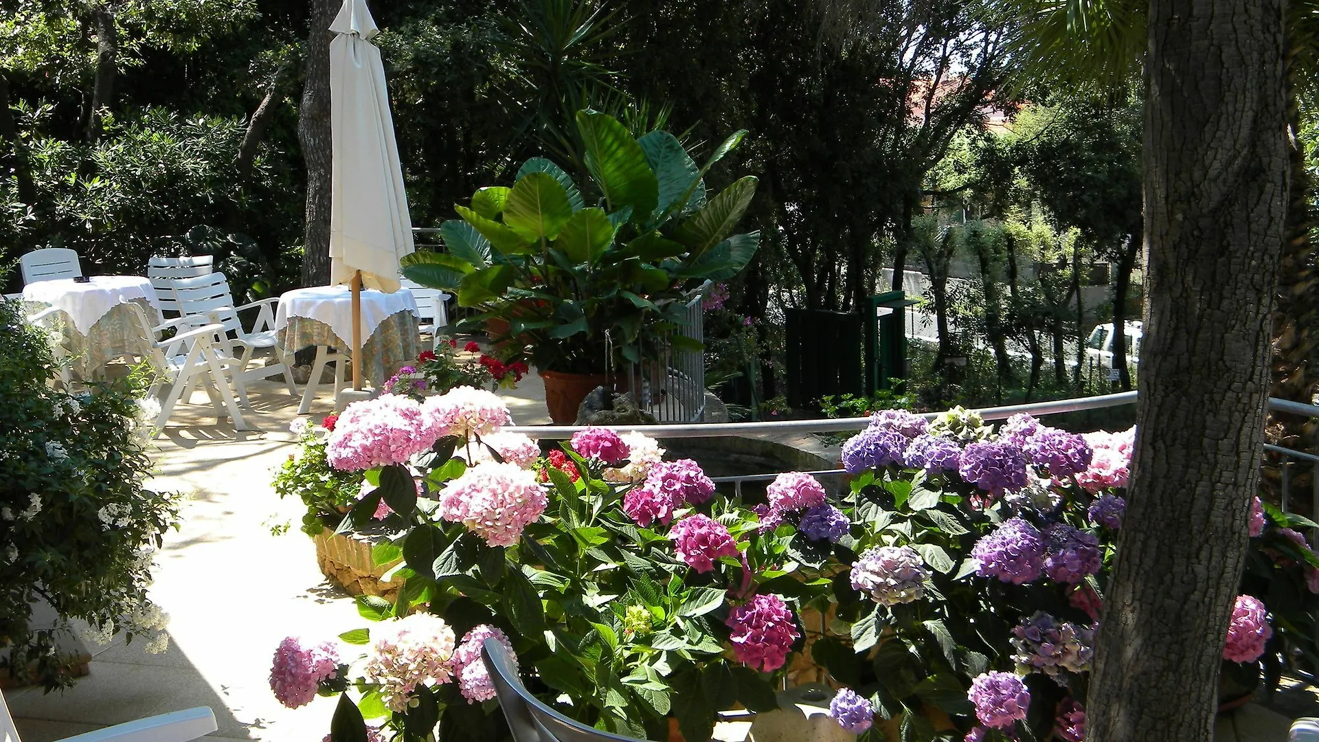 Hotel La Rosa Del Tirreno Livorno